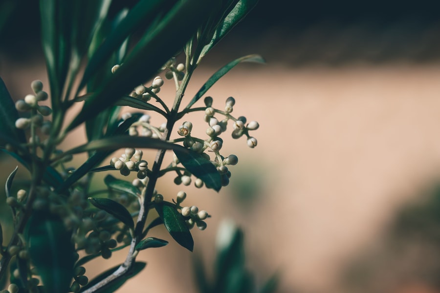 Image d'illustration 6